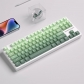 Ivy Pro 104+16 / 26 Cherry Profile PBT Dye-subbed Doubleshot Backlit Keycaps Set Top / Side Legends for Mechanical Keyboard